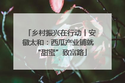 乡村振兴在行动丨安徽太和：西瓜产业铺就“甜蜜”致富路