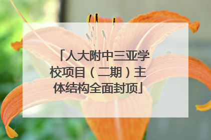 人大附中三亚学校项目（二期）主体结构全面封顶