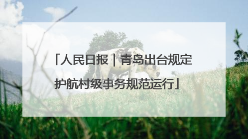 人民日报｜青岛出台规定护航村级事务规范运行