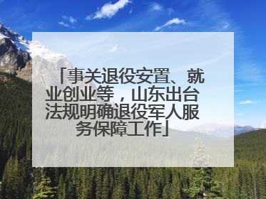 事关退役安置、就业创业等，山东出台法规明确退役军人服务保障工作