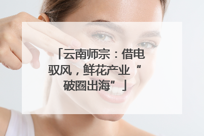 云南师宗：借电驭风，鲜花产业“破圈出海”