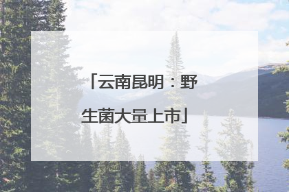 云南昆明：野生菌大量上市