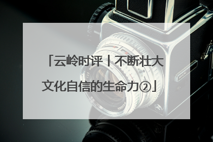 云岭时评丨不断壮大文化自信的生命力②