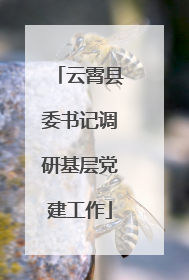 云霄县委书记调研基层党建工作