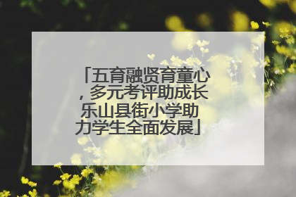 五育融贤育童心，多元考评助成长 乐山县街小学助力学生全面发展