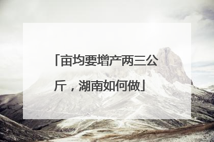 亩均要增产两三公斤，湖南如何做