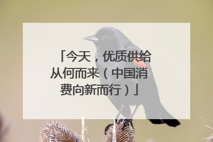 今天，优质供给从何而来（中国消费向新而行）