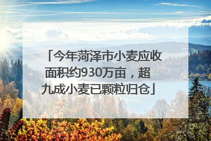 今年菏泽市小麦应收面积约930万亩，超九成小麦已颗粒归仓