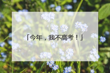 今年，我不高考！