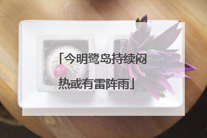 今明鹭岛持续闷热或有雷阵雨