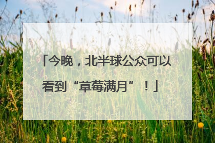 今晚，北半球公众可以看到“草莓满月”！