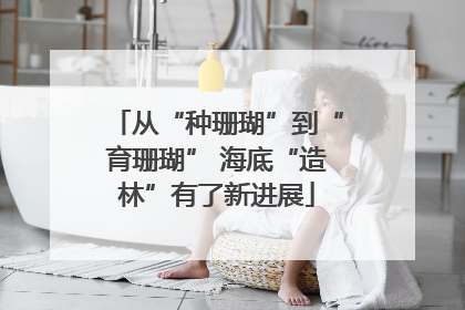 从“种珊瑚”到“育珊瑚” 海底“造林”有了新进展