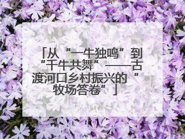 从“一牛独鸣”到“千牛共舞”——古渡河口乡村振兴的“牧场答卷”