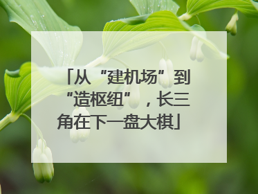 从“建机场”到“造枢纽”，长三角在下一盘大棋