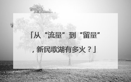 从“流量”到“留量”，新民歌湖有多火？
