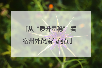 从“质升量稳” 看宿州外贸底气何在