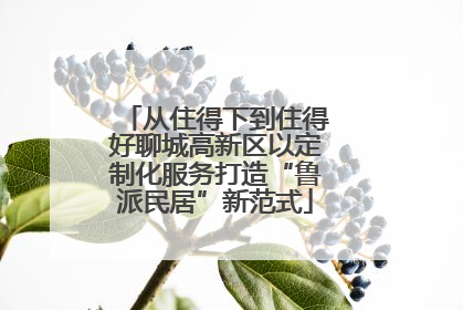 从住得下到住得好聊城高新区以定制化服务打造“鲁派民居”新范式