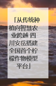 从传统种植向智慧农业跨越 四川安岳搭建全国首个柠檬作物模型平台