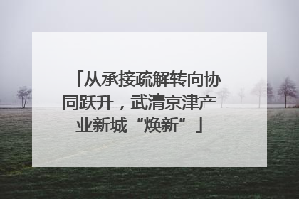 从承接疏解转向协同跃升，武清京津产业新城“焕新”