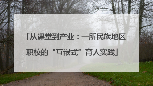 从课堂到产业：一所民族地区职校的“互嵌式”育人实践