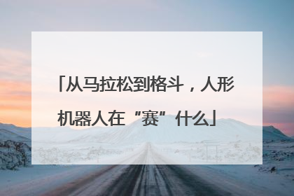 从马拉松到格斗，人形机器人在“赛”什么
