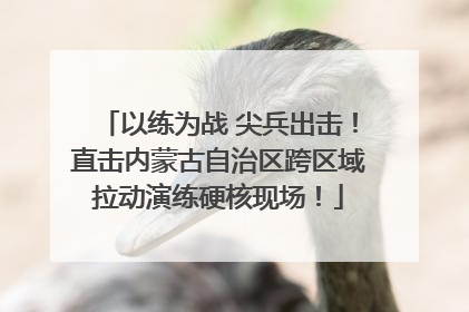 以练为战 尖兵出击！直击内蒙古自治区跨区域拉动演练硬核现场！