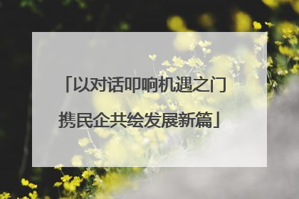 以对话叩响机遇之门 携民企共绘发展新篇