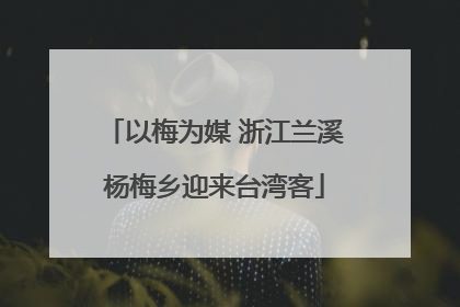 以梅为媒 浙江兰溪杨梅乡迎来台湾客