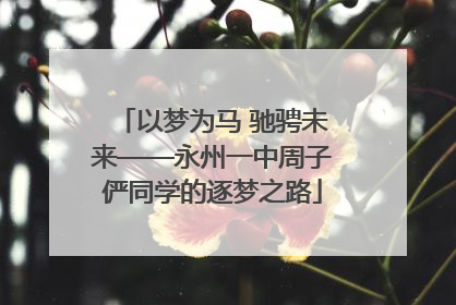以梦为马 驰骋未来——永州一中周子俨同学的逐梦之路
