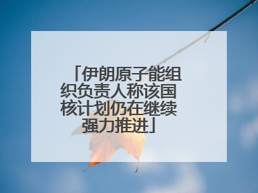 伊朗原子能组织负责人称该国核计划仍在继续强力推进