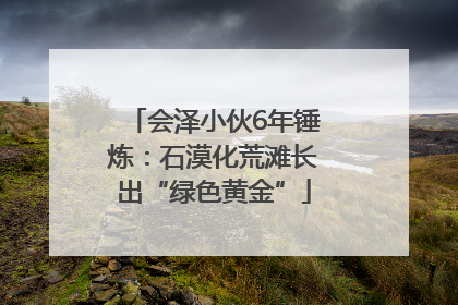 会泽小伙6年锤炼：石漠化荒滩长出“绿色黄金”