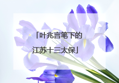 叶兆言笔下的江苏十三太保