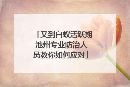 又到白蚁活跃期 池州专业防治人员教你如何应对