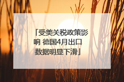 受美关税政策影响 德国4月出口数据明显下滑