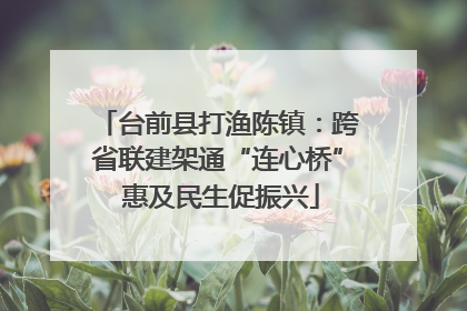 台前县打渔陈镇：跨省联建架通“连心桥” 惠及民生促振兴