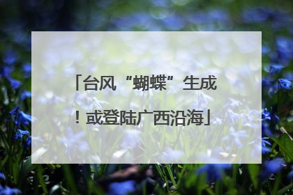 台风“蝴蝶”生成！或登陆广西沿海