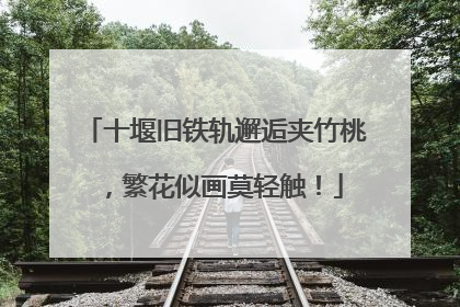 十堰旧铁轨邂逅夹竹桃，繁花似画莫轻触！