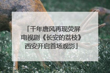 千年唐风再现荧屏 电视剧《长安的荔枝》西安开启首场观影