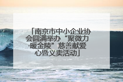 南京市中小企业协会圆满举办“聚微力·暖金陵”慈善献爱心暨义卖活动