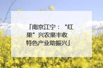 南京江宁：“红果”兴农果丰收 特色产业助振兴