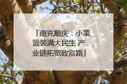 南充顺庆：小菜篮装满大民生 产业链拓宽致富路