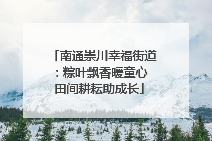 南通崇川幸福街道：粽叶飘香暖童心 田间耕耘助成长