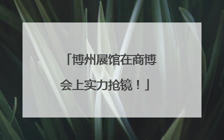 博州展馆在商博会上实力抢镜！