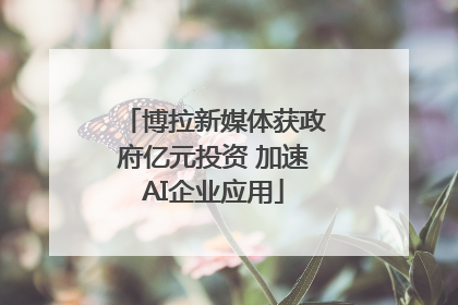 博拉新媒体获政府亿元投资 加速AI企业应用