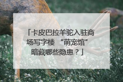 卡皮巴拉羊驼入驻商场写字楼 “萌宠馆”暗藏哪些隐患？