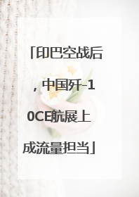 印巴空战后，中国歼-10CE航展上成流量担当
