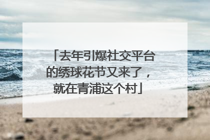 去年引爆社交平台的绣球花节又来了，就在青浦这个村