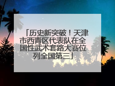 历史新突破！天津市西青区代表队在全国性武术套路大赛位列全国第三