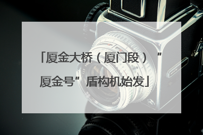 厦金大桥（厦门段）“厦金号”盾构机始发