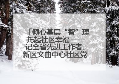 倾心基层“智”理 托起社区幸福——记全省先进工作者、新区文曲中心社区党委书记董世弘